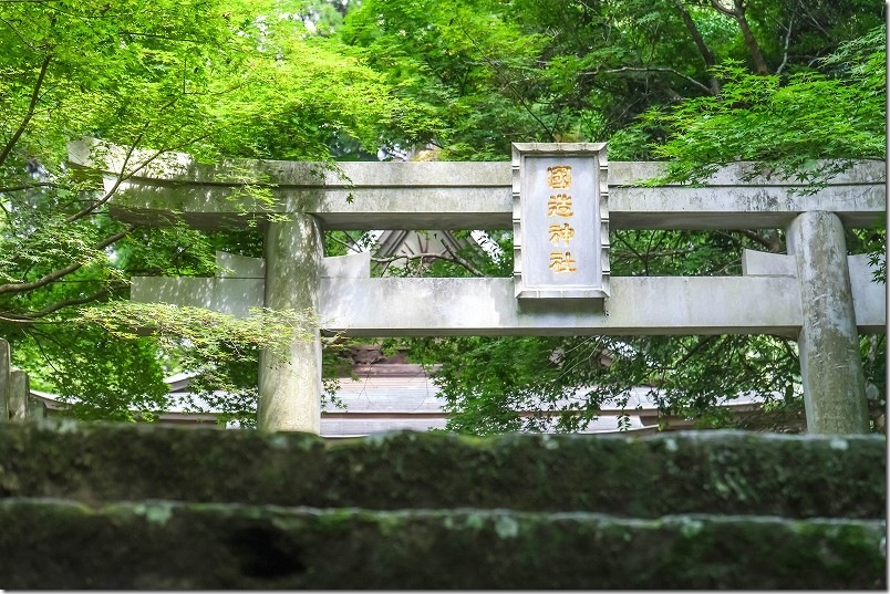 阿蘇 国造神社 石段と鳥居