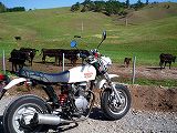 APE100�@�G�C�v100�@�̃R���e���c