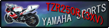 TZR250R(3XV)�̃o�i�[