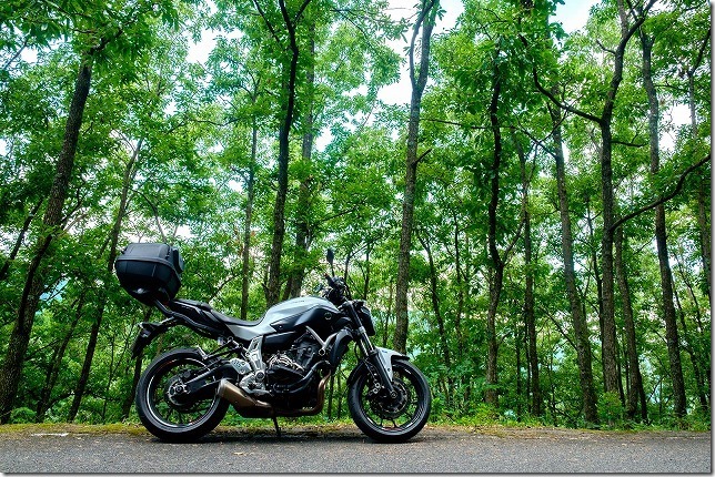 クヌギの木の森とバイク