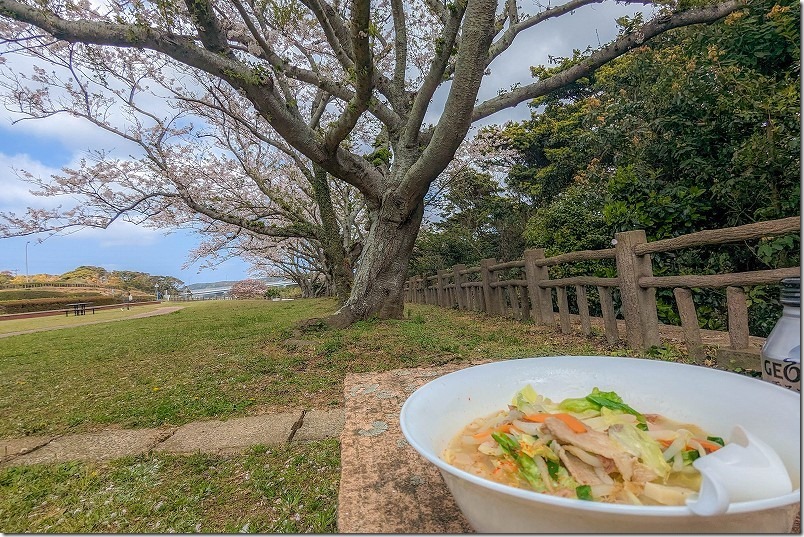 平戸「キッチンふじ工房」の桜見ちゃんぽん