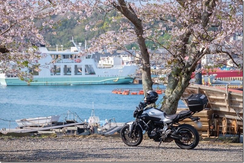 松浦市星鹿町ツーリング、姫神社の桜と海、バイク