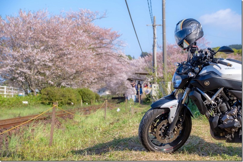 松浦鉄道「浦ノ崎駅」の桜とバイク、ツーリング