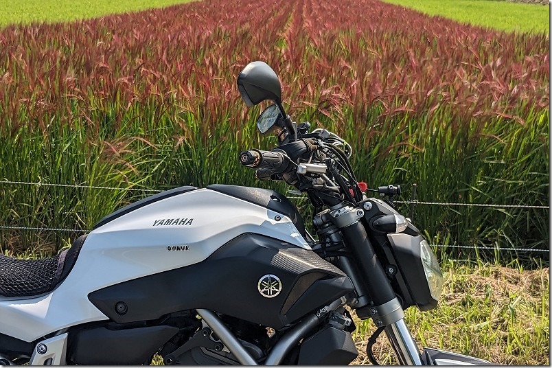 糸島の赤米とバイク