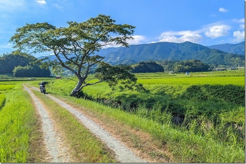 糸島、田園風景とバイクツーリング