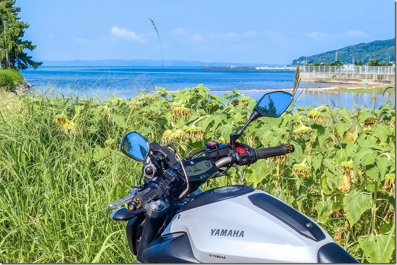 糸島の海とひまわり畑、バイクツーリング