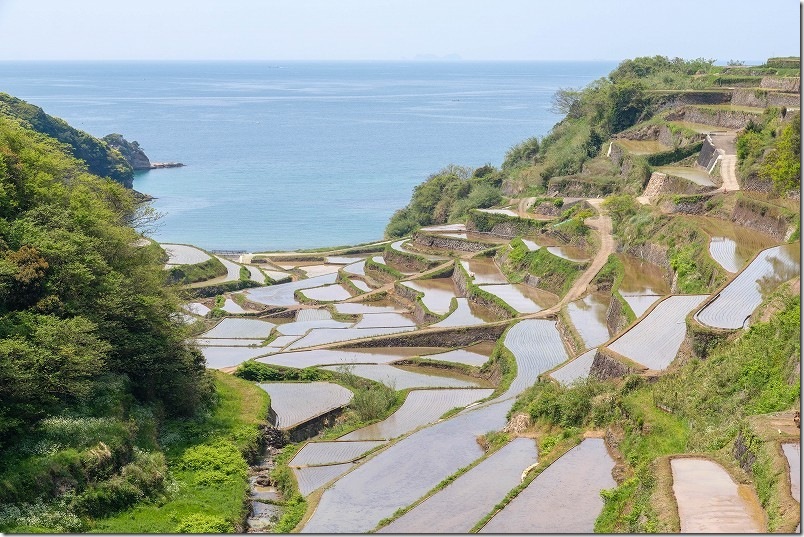 浜野浦の棚田【鷹島から呼子へバイク ツーリング途中の立ち寄りポイント】