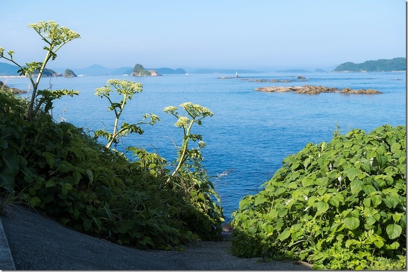 島の小さなキャンプ場 toto・ん・トコの朝 青い空と海