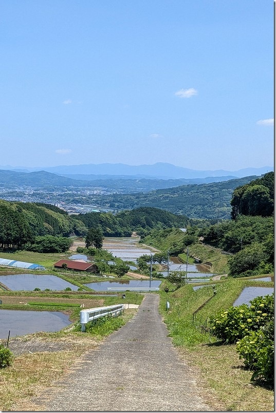 中田の棚田（すみやまの棚田）の景観