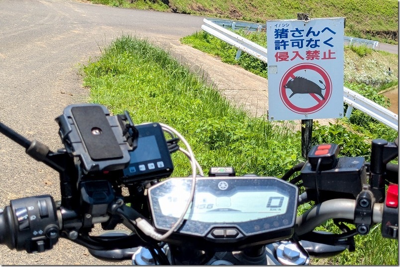 中田の棚田 すみやまの棚田の近くの「猪さんへ許可なく進入禁止」看板