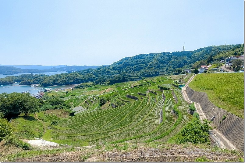 大浦の棚田