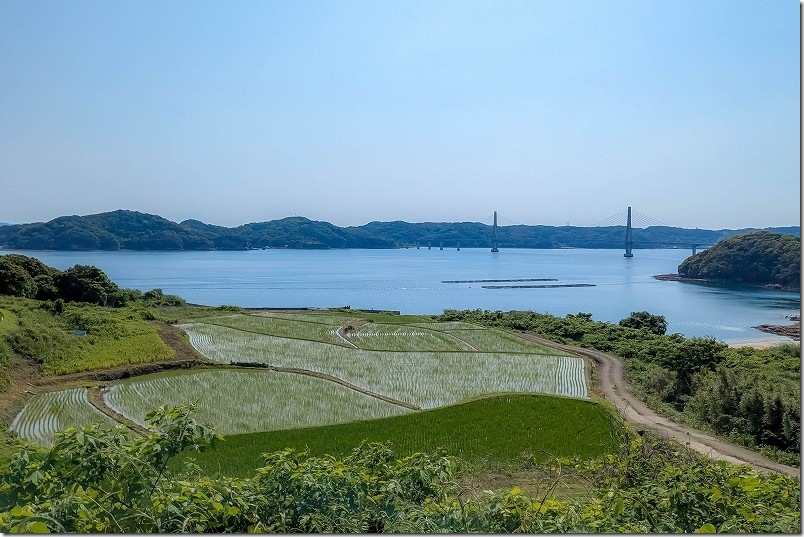 犬頭の棚田【鷹島肥前大橋と棚田の撮影ポイント】