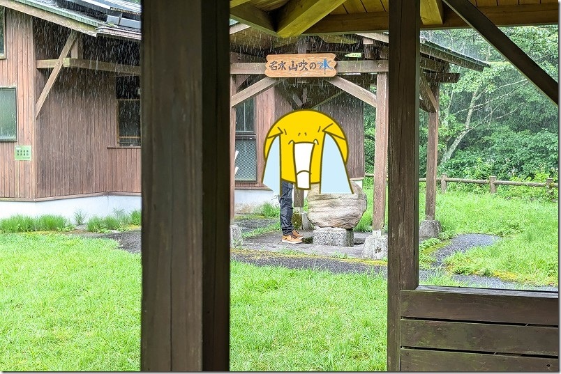 雨の山吹水源 噴水