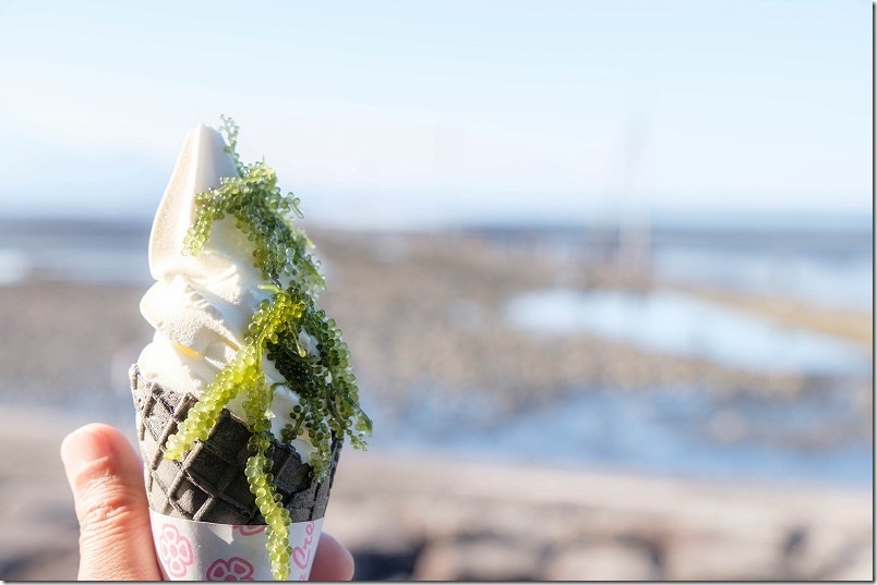 海ぶどうソフトクリーム 長部田海床路 熊本県宇土市
