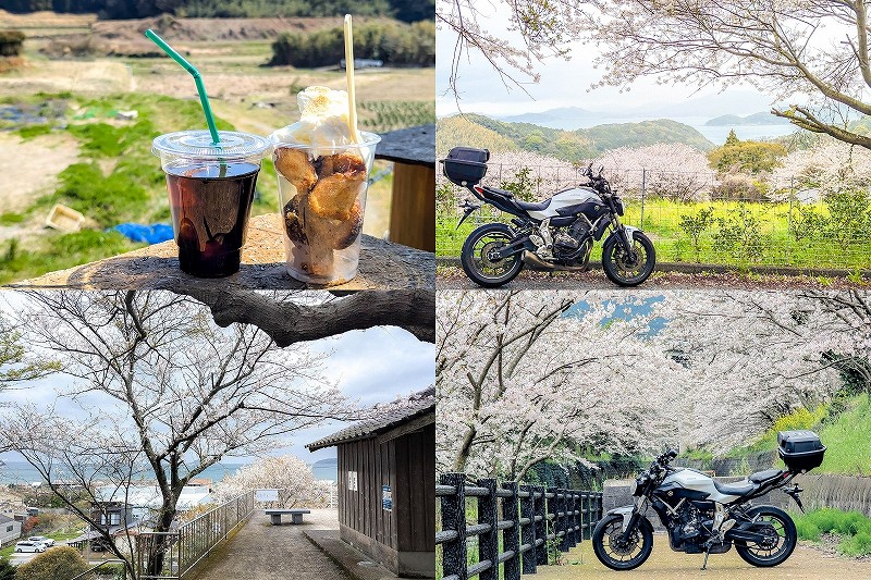【バイク ツーリング】糸島の桜ツーリングコース｜鎮懐石八幡宮・加茂ゆらりんこ橋・七山〜三瀬温泉ルート（約53km）