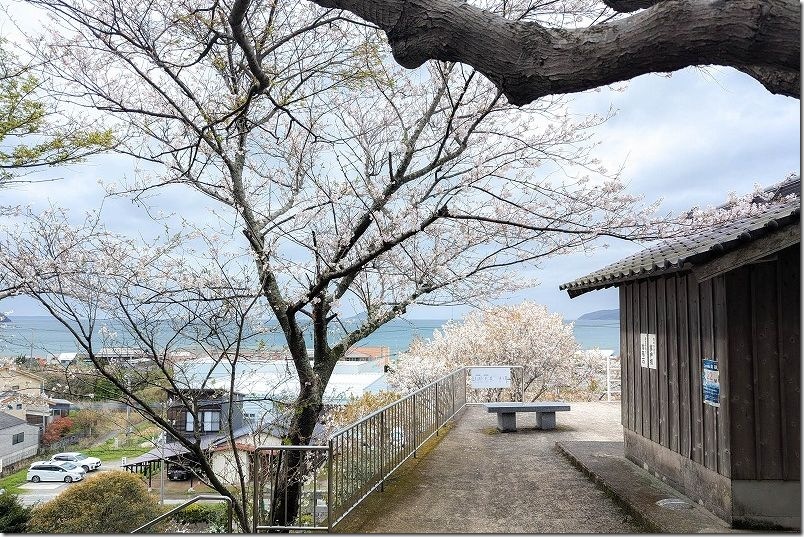 糸島市二丈にある鎮懐石八幡宮の高台の境内から桜と海 糸島市二丈にある鎮懐石八幡宮の高台の境内から桜と海