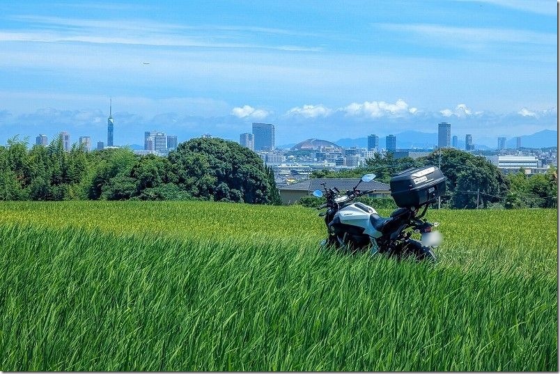 MT-07でMEC-018 CIRCUITを1.5Lに、MEA-012 ONROADを0.8L利用でのインプレッション