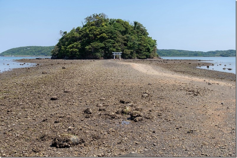 干潮の壱岐・小島神社へ海を渡る