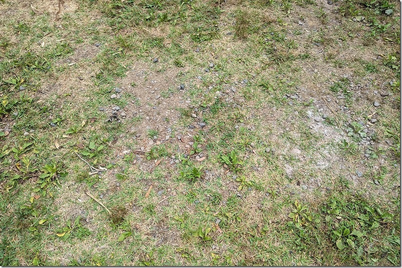 脊振山頂広場 キャンプ場の草地の状態｜踏み固められたとこ