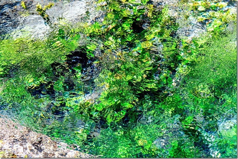 くじゅう・男池|標高850mに湧く水温12.6℃の湧水 くじゅう・男池|標高850mに湧く水温12.6℃の湧水