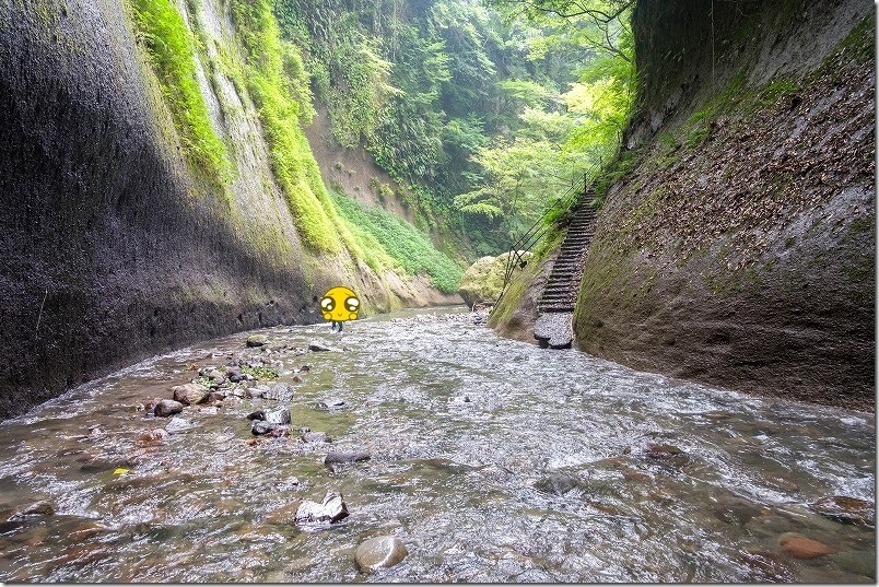 由布川峡谷|標高290mの谷底を川歩き 由布川峡谷|標高290mの谷底を川歩き