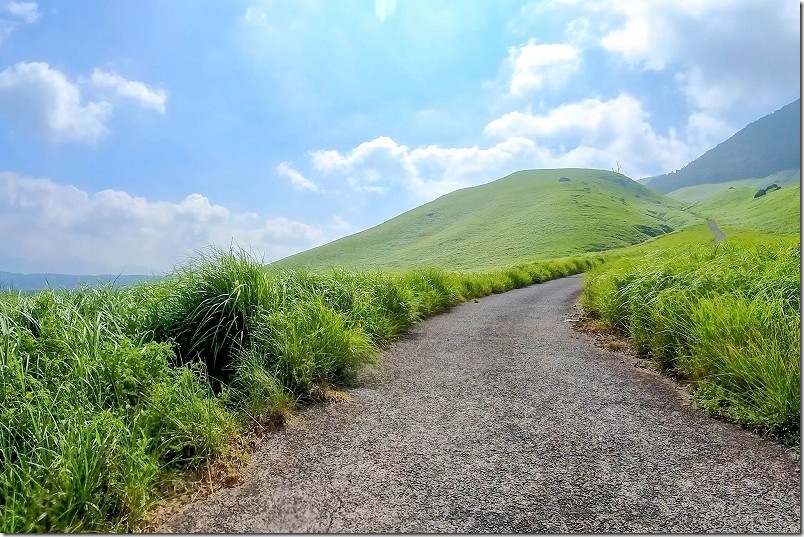 おにぎり山へバイクで登る道|くじゅう バイクツーリング おにぎり山へバイクで登る道|くじゅう バイクツーリング