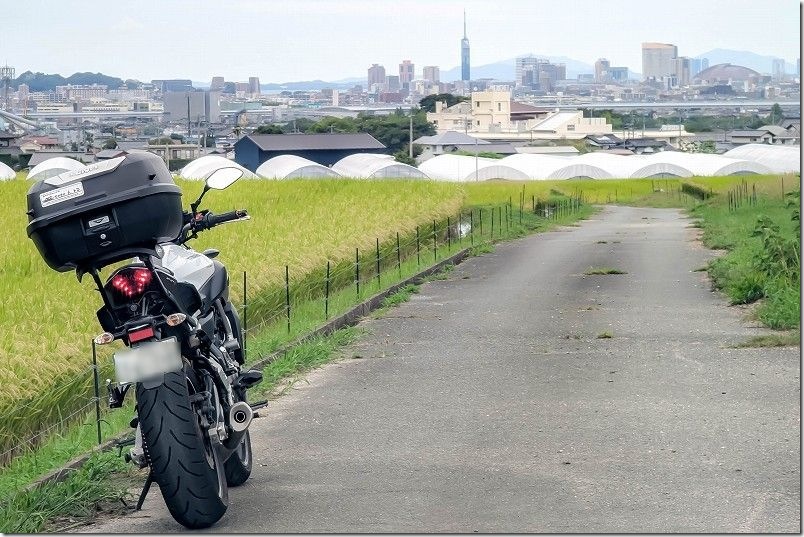 MT-07｜ナンバー灯をLEDに交換して試走